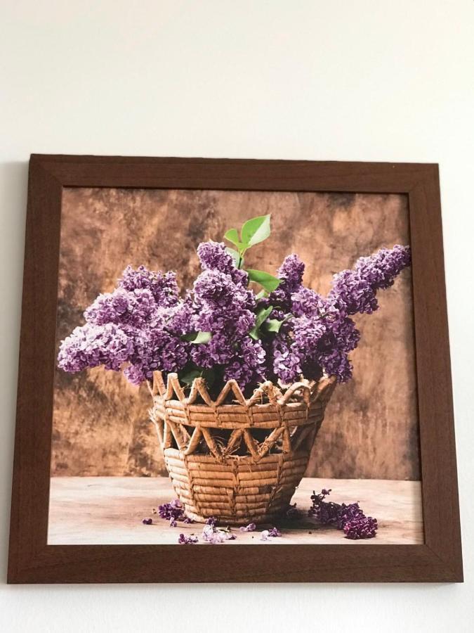Studio Apartmani Paola Rijeka Bagian luar foto